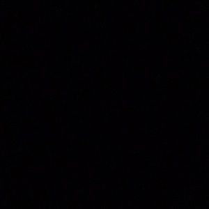 Meet your Posher, Brynn